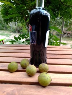black walnut tincture 1 litre