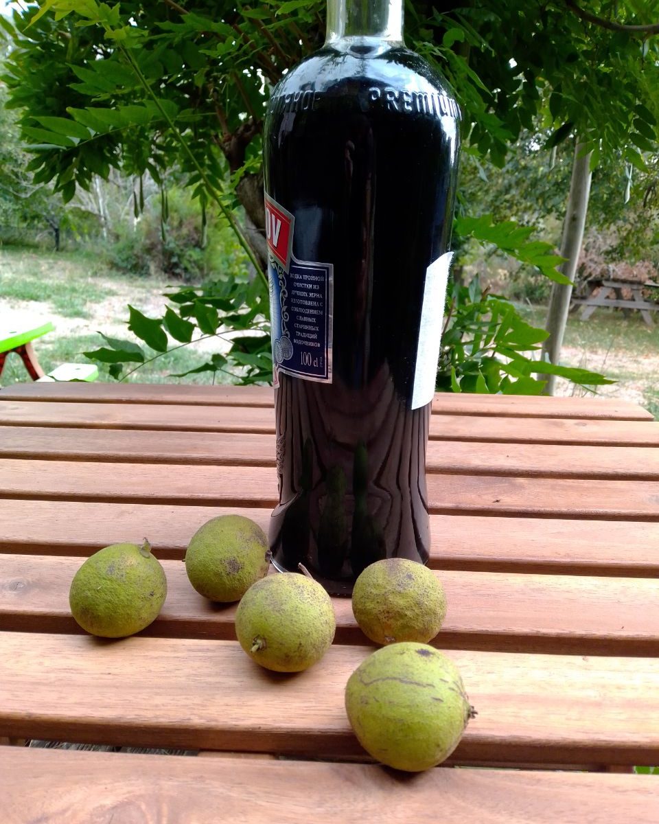 black walnut tincture 1 litre